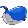 Wailord mâle dans Noire et Blanche