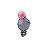 Spoink mâle dans Noire et Blanche