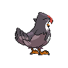 Etouraptor mâle dans Noire et Blanche