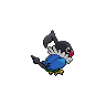 Pijako mâle dans Noire et Blanche