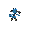 Riolu mâle dans Noire et Blanche