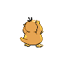 Psykokwak mâle dans Noire et Blanche