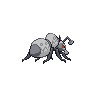 Fermite mâle dans Noire et Blanche