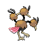 Dodrio mâle dans Noire et Blanche