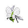 Dardargnan mâle shiny dans Noire et Blanche