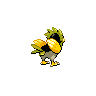 Piafabec mâle shiny dans Noire et Blanche