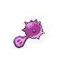 Qwilfish mâle shiny dans Noire et Blanche