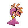 Vacilys mâle shiny dans Noire et Blanche