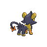 Luxio mâle shiny dans Noire et Blanche