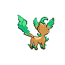 Phyllali mâle shiny dans Noire et Blanche