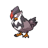 Etouraptor femelle dans Noire et Blanche