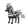 Zeblitz femelle dans Noire et Blanche
