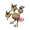 Dodrio femelle dans Noire et Blanche