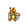 Coxyclaque femelle shiny dans Noire et Blanche