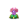 Joliflor femelle shiny dans Noire et Blanche