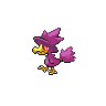 Cornebre femelle shiny dans Noire et Blanche