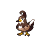 Etourvol femelle shiny dans Noire et Blanche