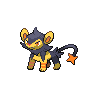 Luxio femelle shiny dans Noire et Blanche