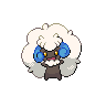 Farfaduvet femelle shiny dans Noire et Blanche