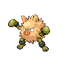 Colossinge femelle shiny dans Noire et Blanche