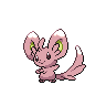 Chinchidou femelle shiny dans Noire et Blanche