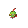 Natu mâle dans Noire et Blanche