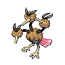 Dodrio mâle dans Noire et Blanche