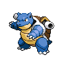 Tortank mâle dans Noire et Blanche