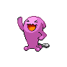 Qulbutoke mâle shiny dans Noire et Blanche