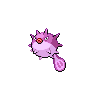 Qwilfish mâle shiny dans Noire et Blanche