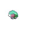 Shaymin shiny dans Noire et Blanche