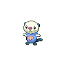 Moustillon mâle shiny dans Noire et Blanche