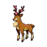 Haydaim mâle shiny dans Noire et Blanche