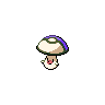 Trompignon mâle shiny dans Noire et Blanche