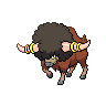 Frison mâle shiny dans Noire et Blanche