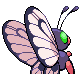 Papilusion femelle shiny dans Diamant et Perle