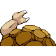 Grolem mâle shiny dans Diamant et Perle