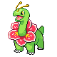 Meganium femelle dans Diamant et Perle