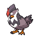 Etouraptor femelle dans Diamant et Perle