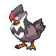 Etouraptor femelle dans Diamant et Perle