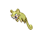 Rattata femelle shiny dans Diamant et Perle