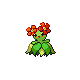 Joliflor mâle dans Diamant et Perle