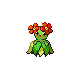 Joliflor mâle dans Diamant et Perle