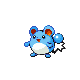 Marill mâle dans Diamant et Perle