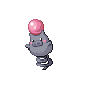 Spoink mâle dans Diamant et Perle