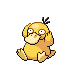 Psykokwak mâle dans Diamant et Perle