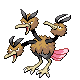 Dodrio mâle dans Diamant et Perle