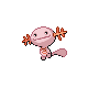 Axoloto mâle shiny dans Diamant et Perle