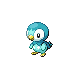 Tiplouf mâle shiny dans Diamant et Perle