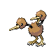 Tori - Doduo mâle 84